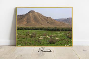 صورة مصغرة 3