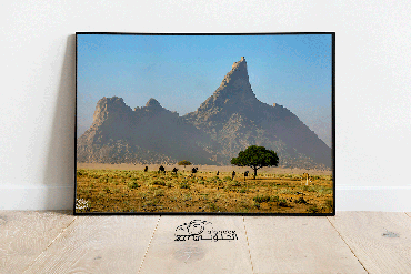 صورة مصغرة 1