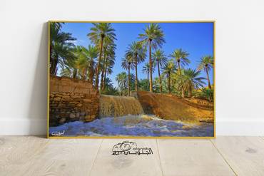 صورة مصغرة 3