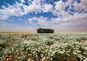 صورة مصغرة 2