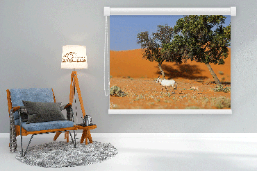 صورة مصغرة 1