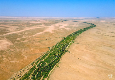 صورة مصغرة 2