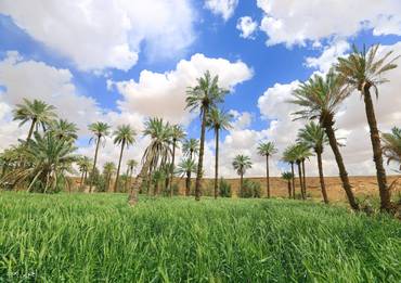 صورة مصغرة 2