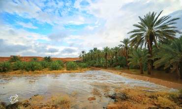 صورة مصغرة 2