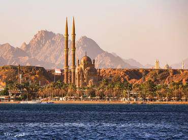 صورة مصغرة 2