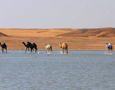 صورة مصغرة 2