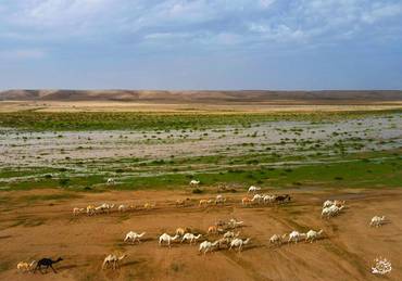 صورة مصغرة 2