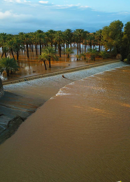 صورة مصغرة 2