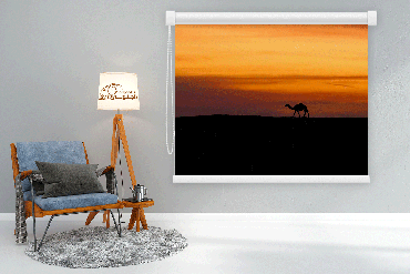 صورة مصغرة 1