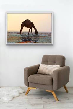 صورة مصغرة 4
