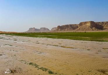 صورة مصغرة 2