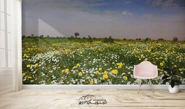 صورة مصغرة 1