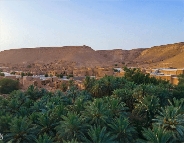 صورة مصغرة 2