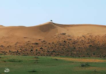 صورة مصغرة 2