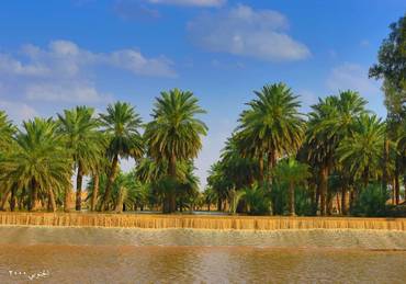 صورة مصغرة 2