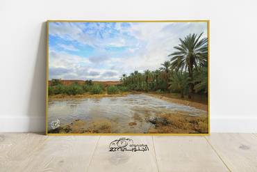صورة مصغرة 3