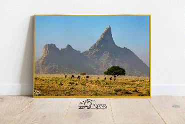 صورة مصغرة 3