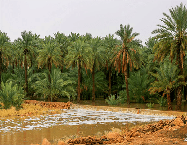 صورة مصغرة 2
