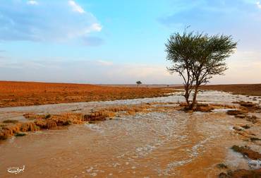 صورة مصغرة 2