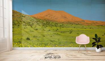 صورة مصغرة 1