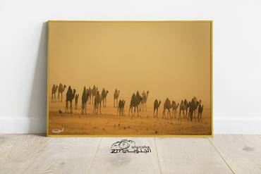 صورة مصغرة 3