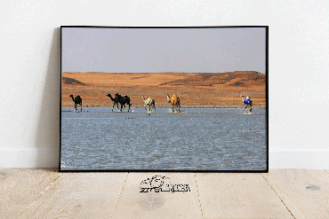 صورة مصغرة 1