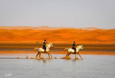 صورة مصغرة 2