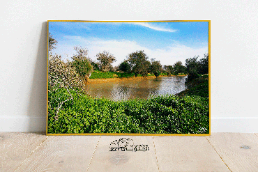 صورة مصغرة 3