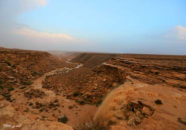 صورة مصغرة 2