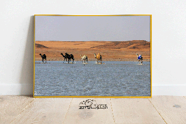 صورة مصغرة 3
