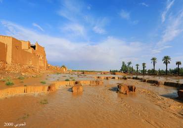 صورة مصغرة 2