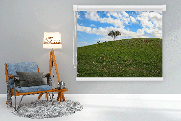 صورة مصغرة 1