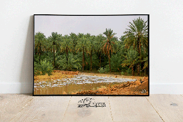 صورة مصغرة 1