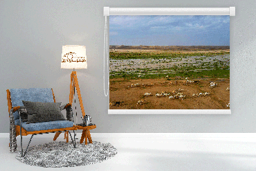 صورة مصغرة 1