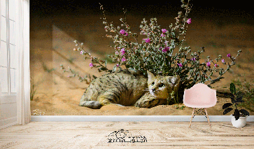 صورة مصغرة 1