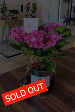 صورة مصغرة 1
