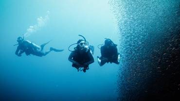 صورة مصغرة 2