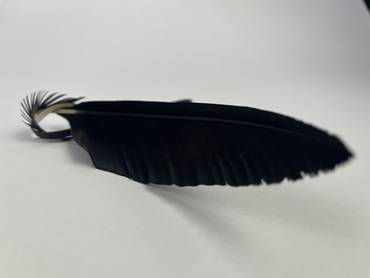 صورة مصغرة 8