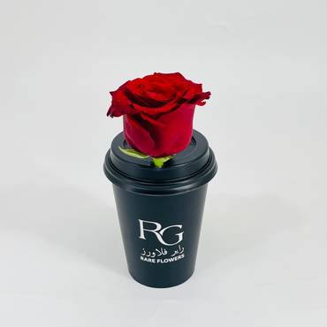 صورة مصغرة 1