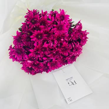 صورة مصغرة 4