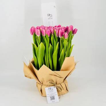 صورة مصغرة 1