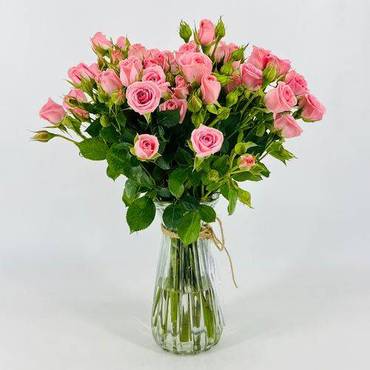 صورة مصغرة 2