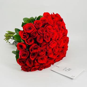 صورة مصغرة 1