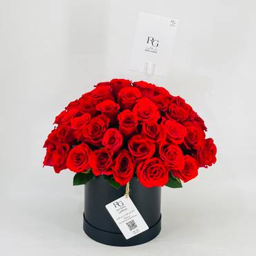 صورة مصغرة 1