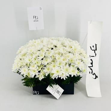 صورة مصغرة 1