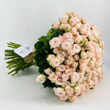 صورة مصغرة 1