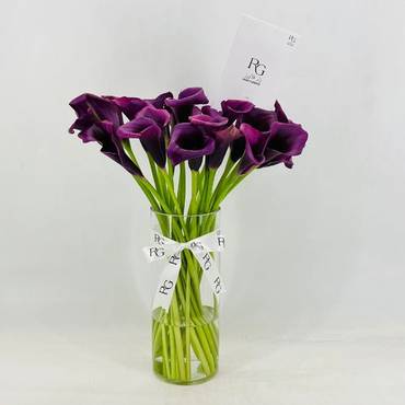 صورة مصغرة 2