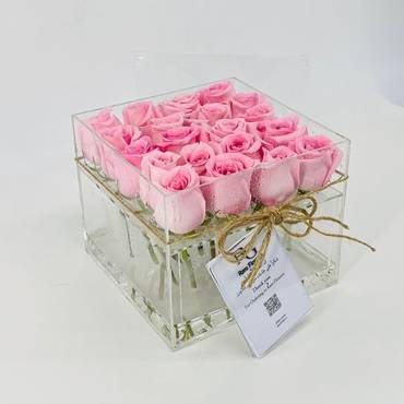 صورة مصغرة 2