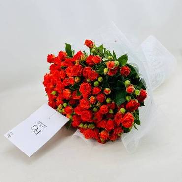 صورة مصغرة 2
