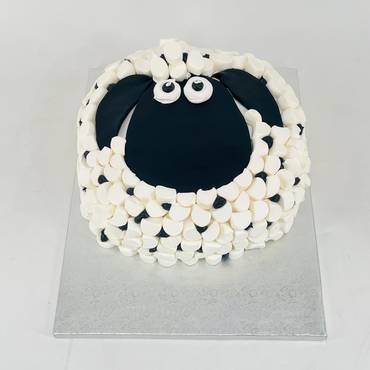 صورة مصغرة 6